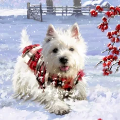 Adventskalender "Hunde-Weihnacht"