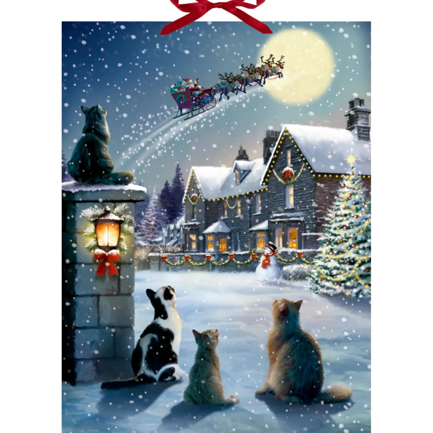 Adventskalender "Katzen-Weihnacht" Discount
