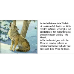 Adventskalender "Tiere im Winterwald" Clearance
