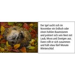 Adventskalender 