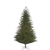 Baum Frasier Fir grün, 120 cm New