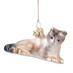 Poesie in Glas Birmakatze Online
