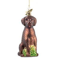 Poesie in Glas Brauner Labrador Online