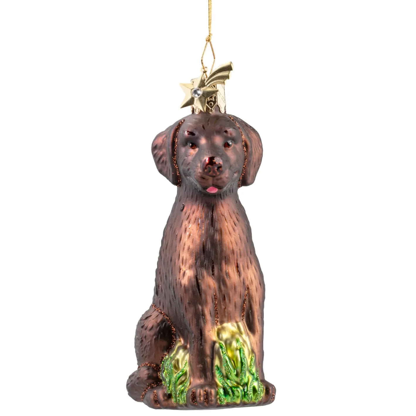 Poesie in Glas Brauner Labrador Online