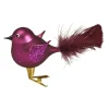 Glasvogel rund, lila Hot