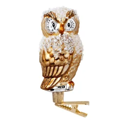 Poesie in Glas Goldene Eule mit Clip Best