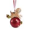 Hund mit Kugel Clearance