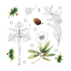 Kreativ-Adventskalender "Wundervolle Winterwelt" Hot