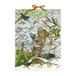 Sound-Adventskalender "Unsere Vögel im Winter" Discount